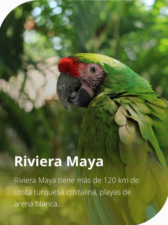 Captura de pantalla 2025-12-03 a la(s) 4.45.27 p.m.