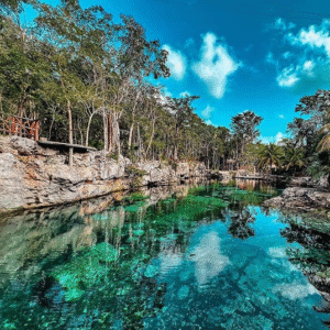 Cenotes casa tortuga + Traslado